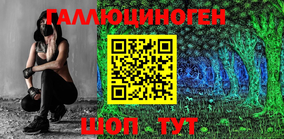 Новочебоксарск  Псилоцибиновые грибы прущие грибы  Вход с VPN 